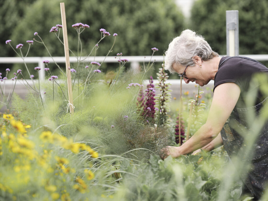 Photographer: Kate Peters