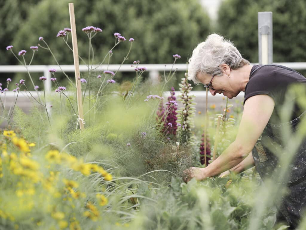 Photo by Kate Peters